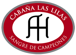 Cabaña Las Lilas